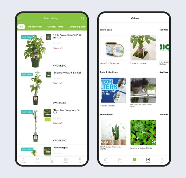 mashatel-top-left-img