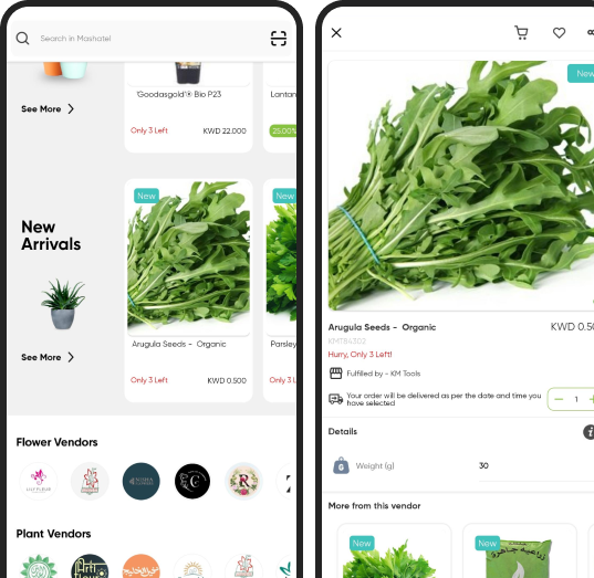 mashatel-top-right-img