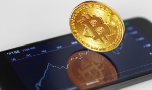 Cryptocurrency Ecosystem