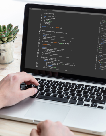 Visual Recognition Development