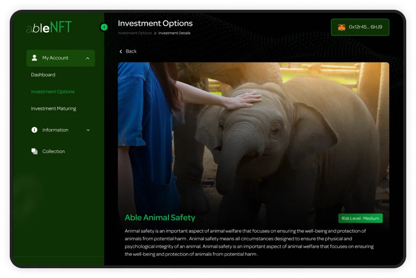 ablenft-bottom-single