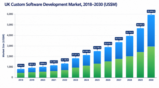 UK Custom Software Development Market
